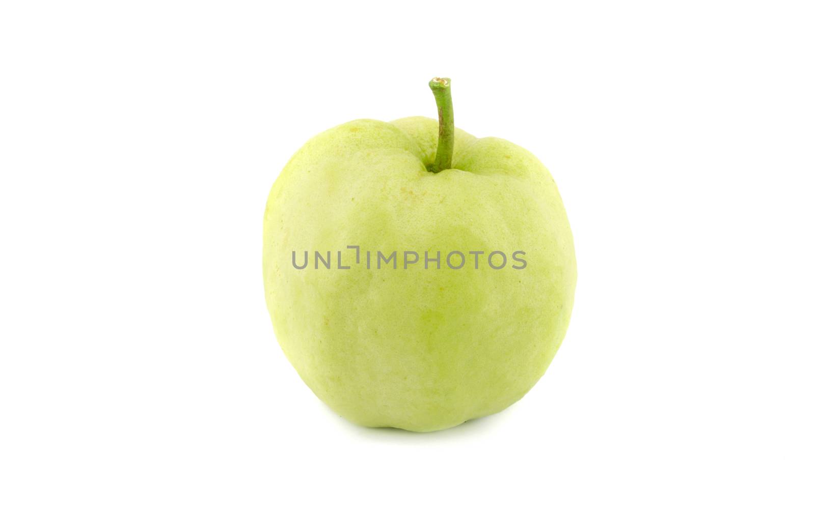 Guava  on white background