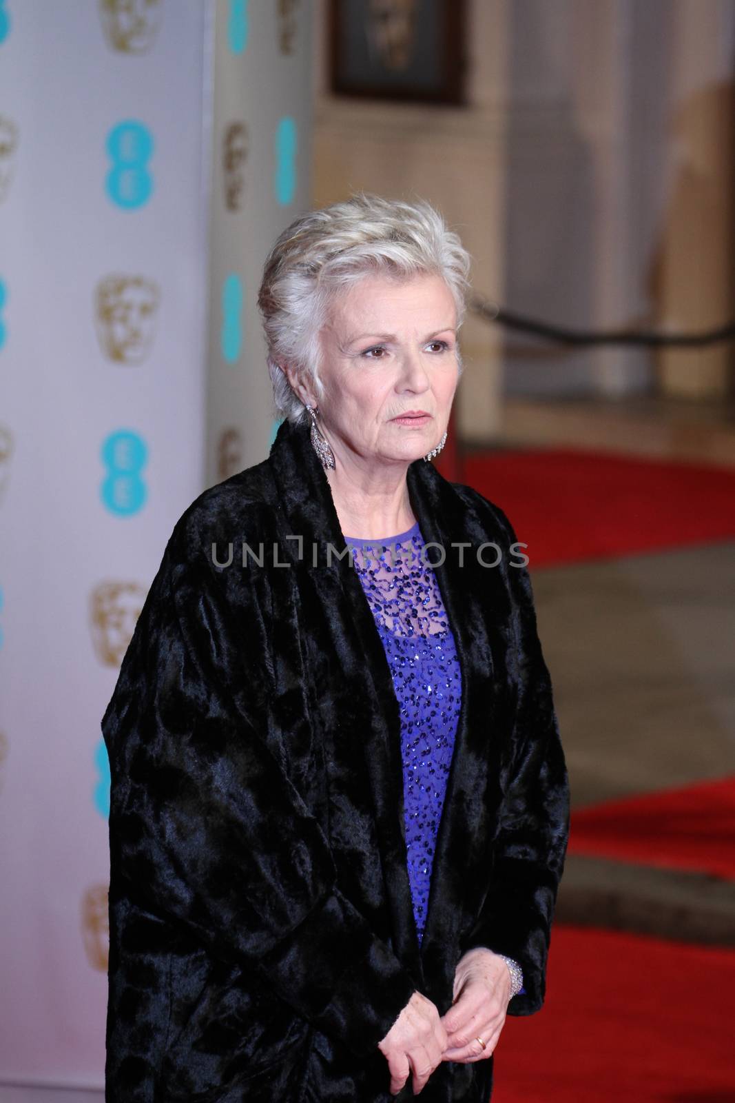 UK, London: British actress Julie Walters poses on the red Carpet at the EE British Academy Film Awards, BAFTA Awards, at the Royal Opera House in London, England, on 14 February 2016. 