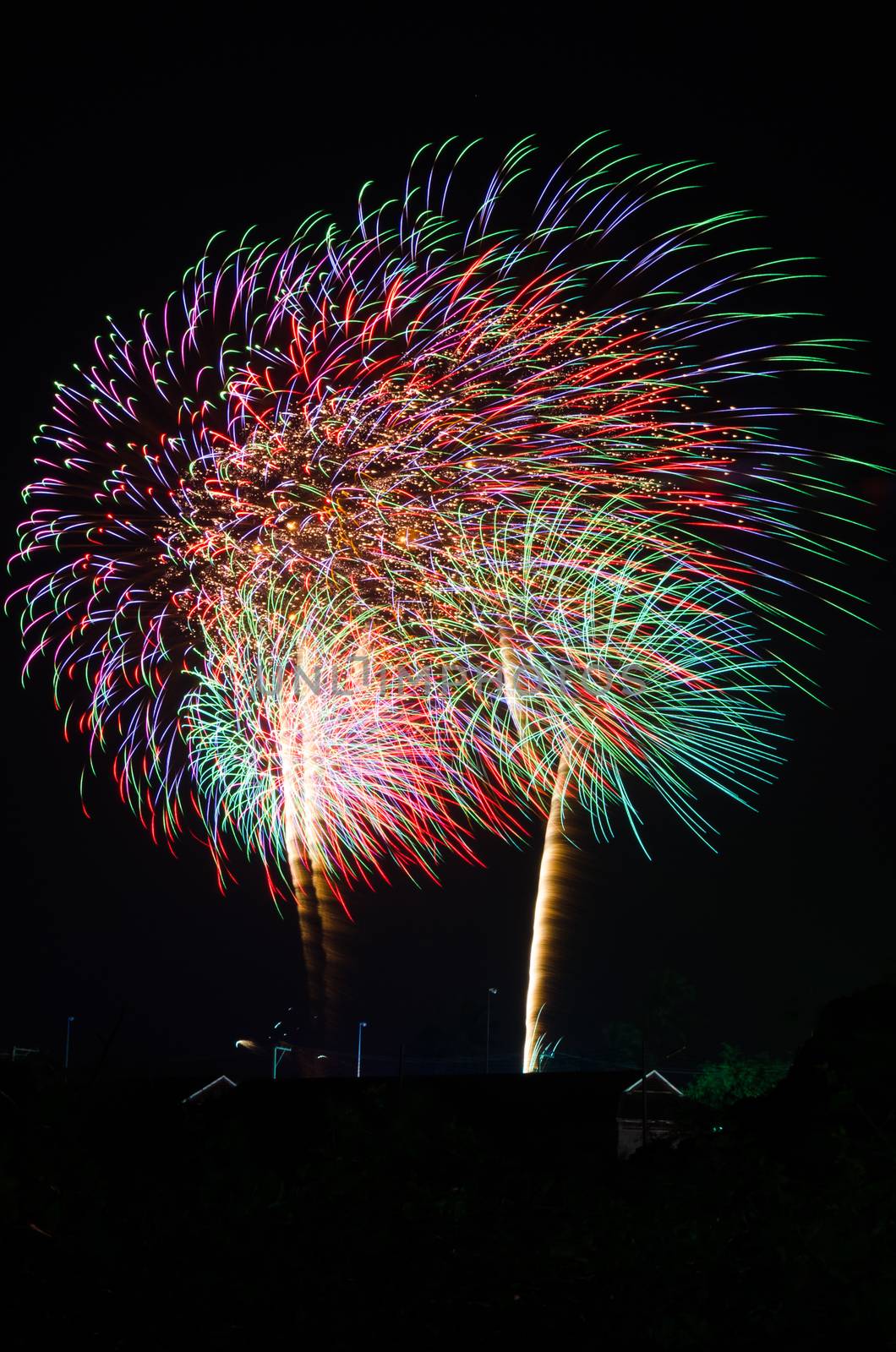 An image of exploding fireworks at night. Represents a celebration.