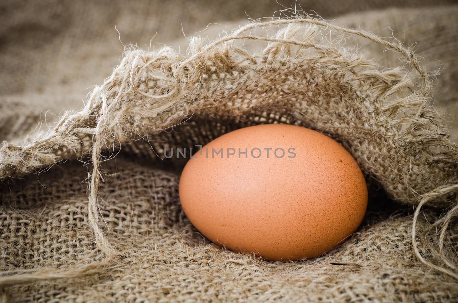Egg of Still Life by nop16