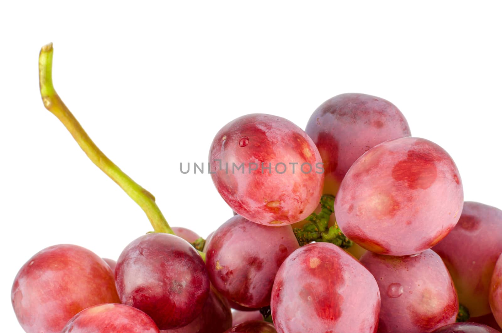 Red grape isolated on white background