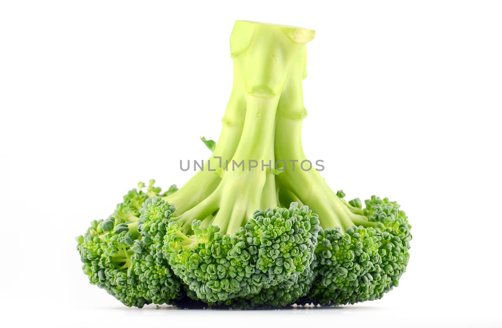 Fresh raw broccoli isolated on white background by nop16