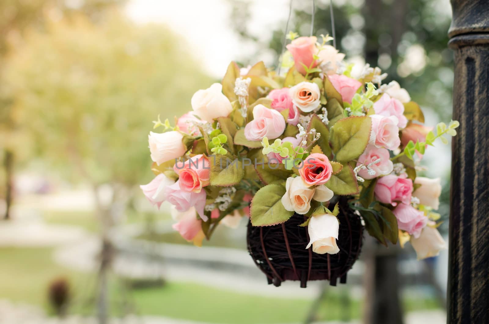 Hanging flower basket by nop16