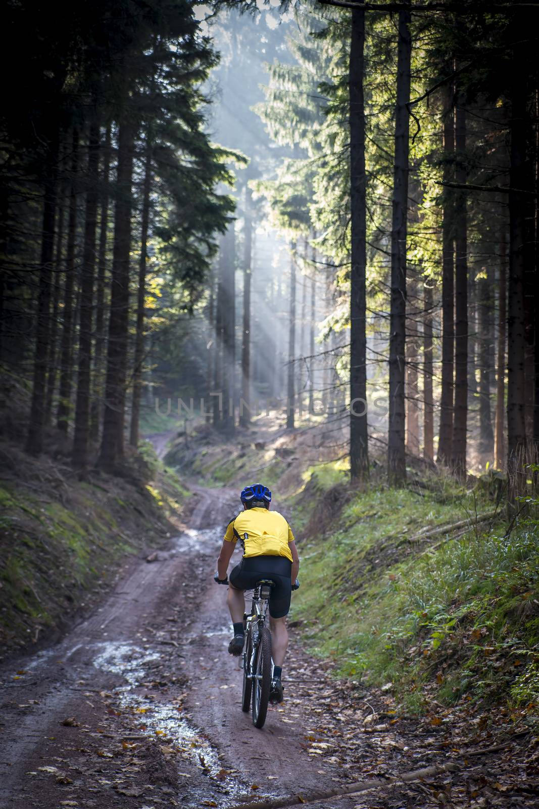 Young biker on muddy road - Sowie mountains, Poland