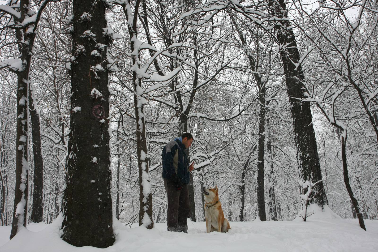 Man and dog in the snow by tdjoric