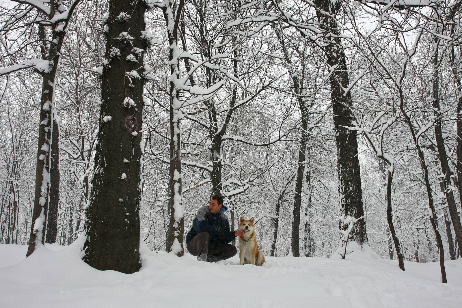 Akita Inu and its owner in public park during  blizzard