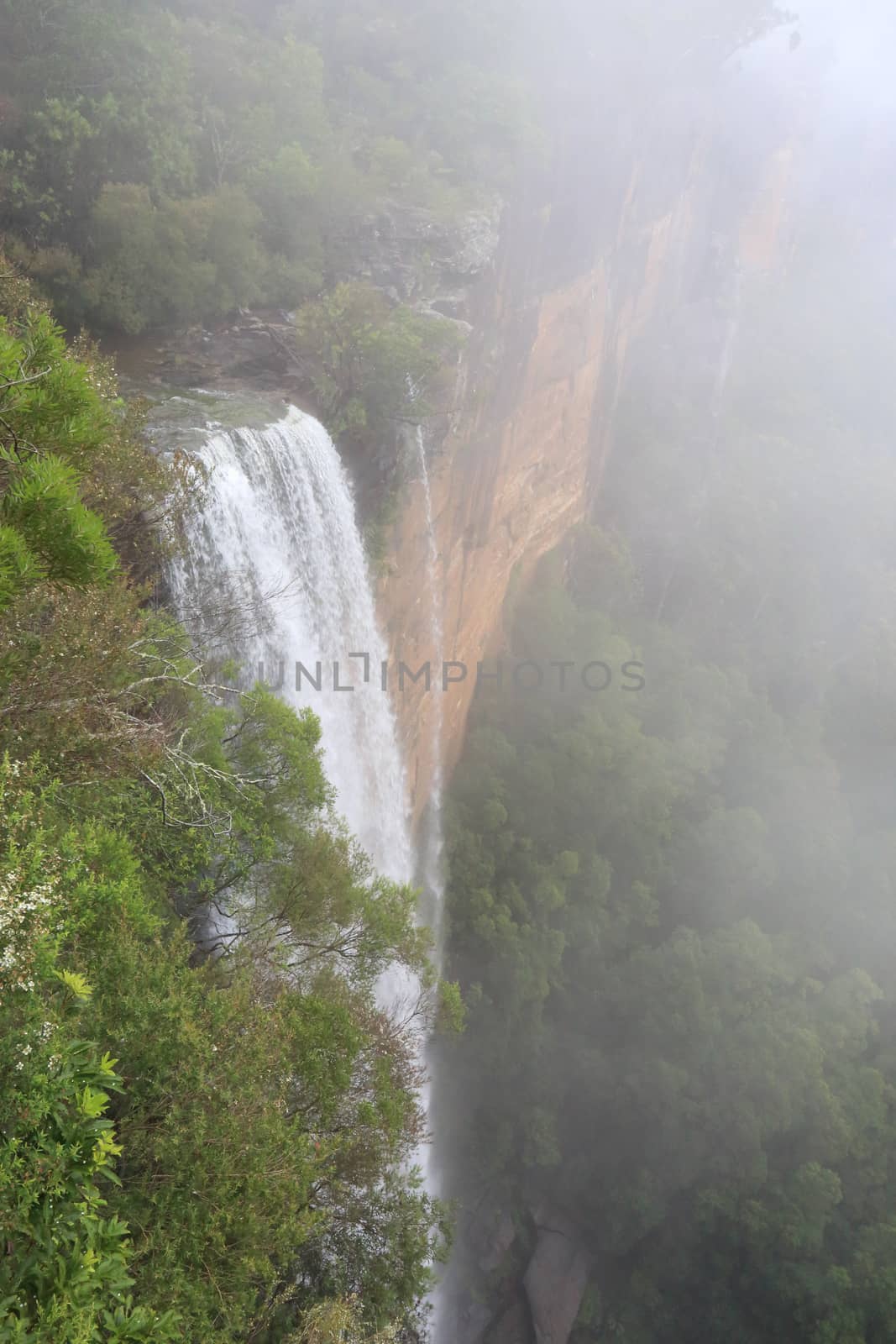 Standing in the clouds  high at the top of the Fitzroy Falls, which drop over 80 metres to the valley below.   Fitzory Falls is located in Wingecarribee Shire,  Southern Highlands, 