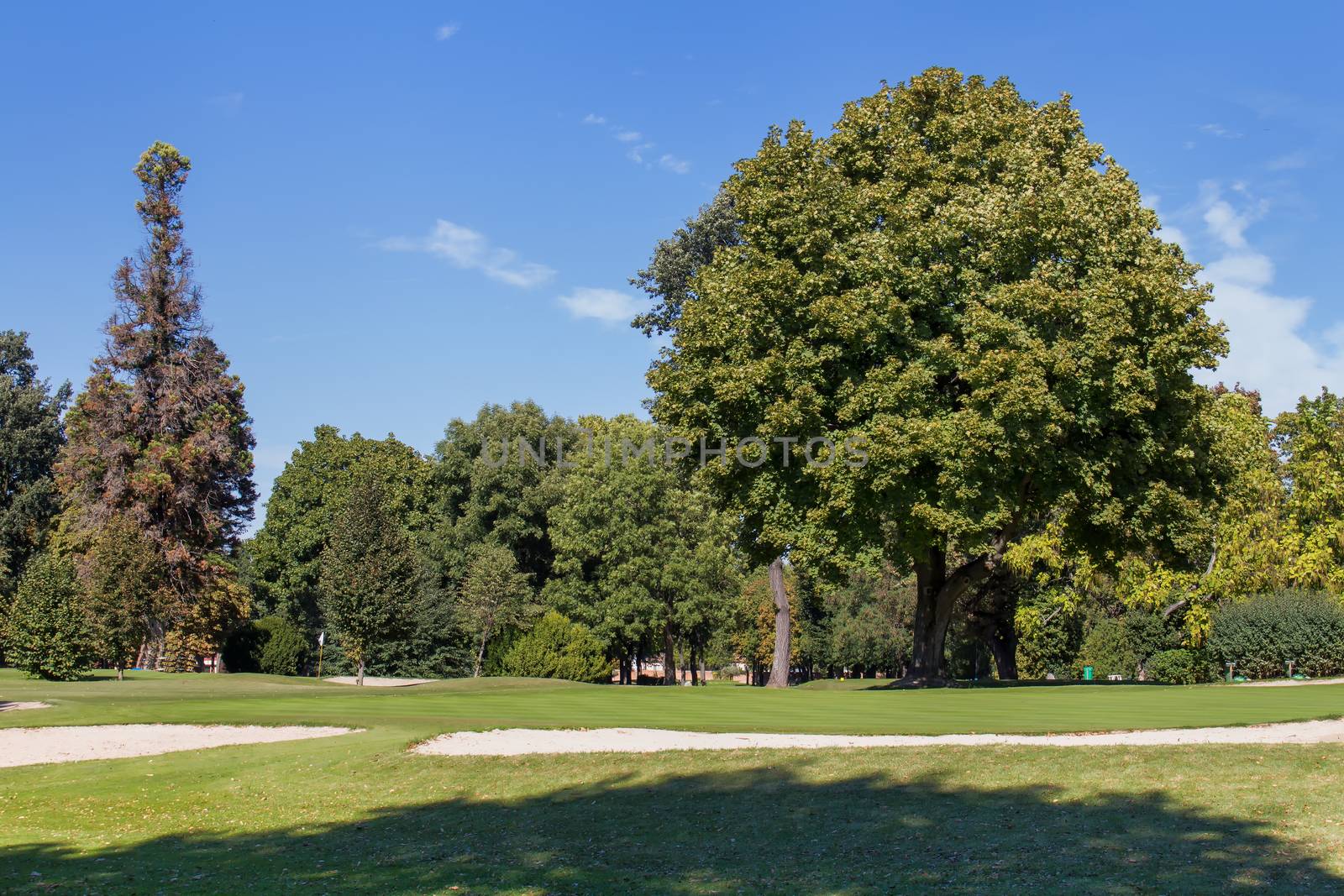 Beautiful late summer sunny day, with just several clouds. Park with grass and walkway. Various trees in the background.