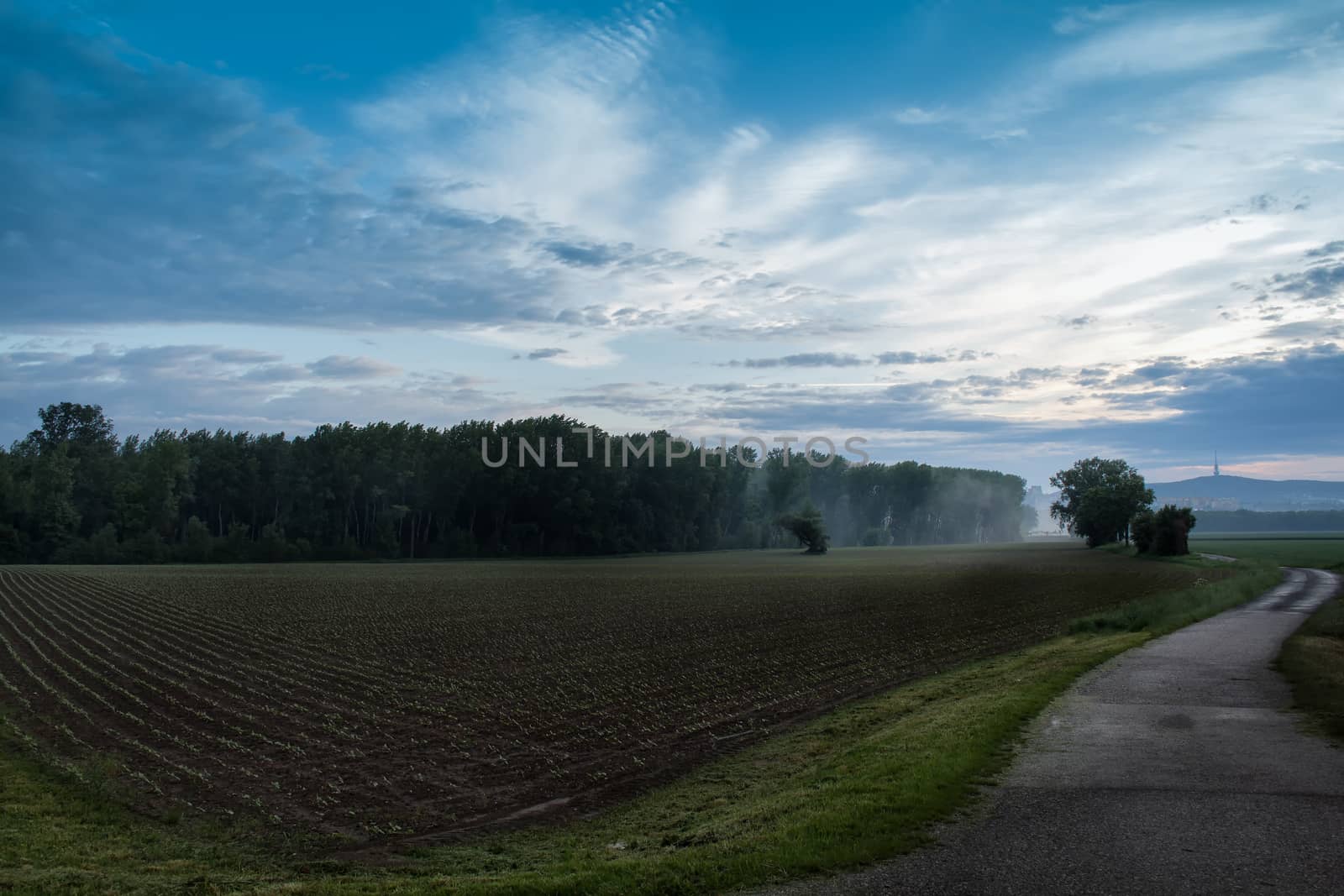 Landscape in a Foggy Morning by YassminPhoto
