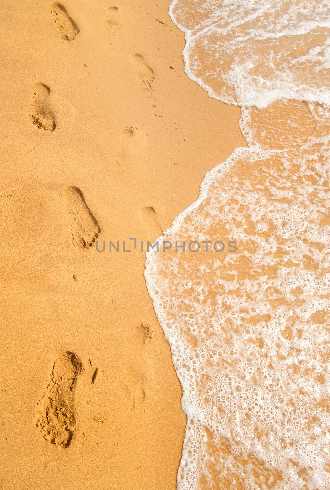 Background of sandy beach and ocean wave
