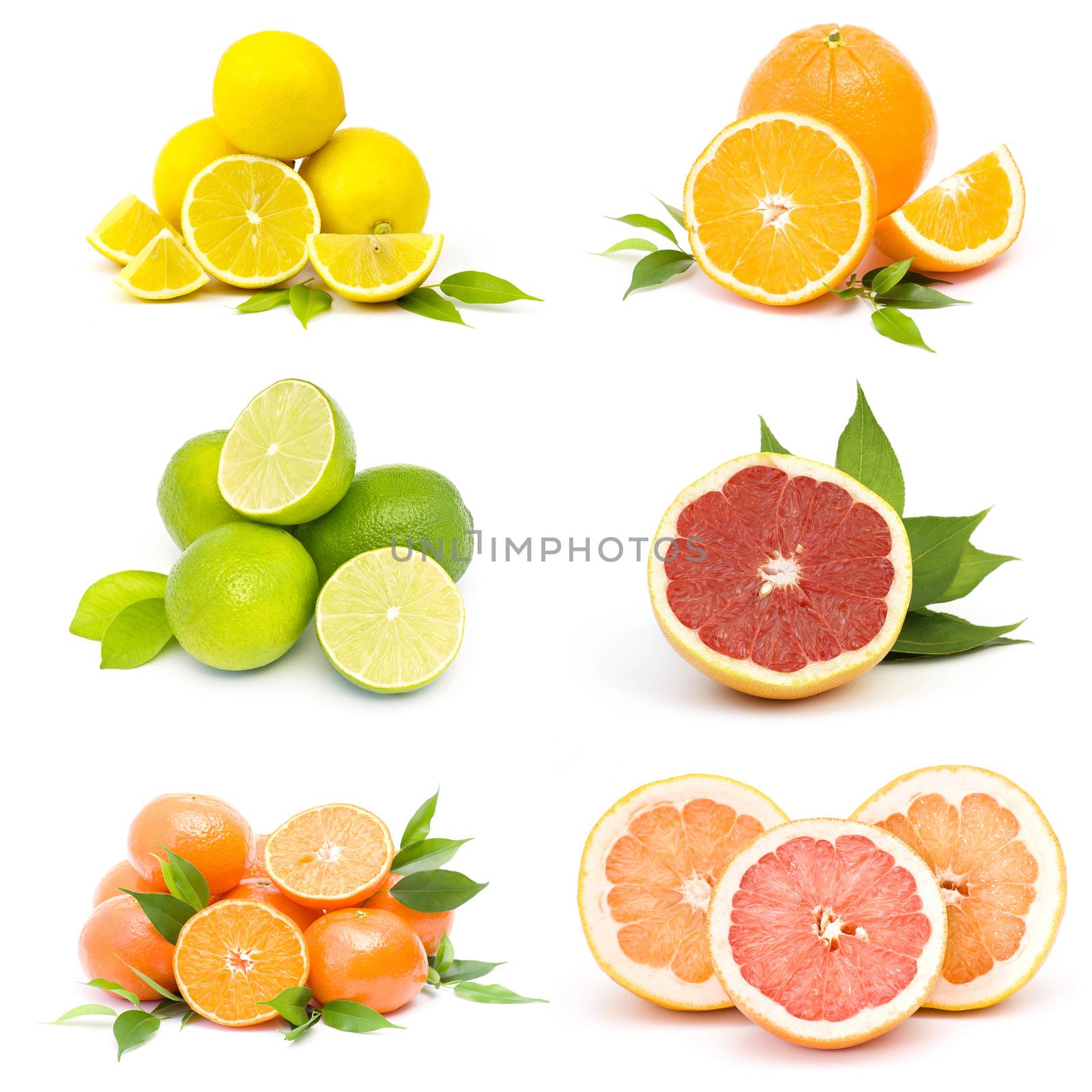 collection of fresh citrus fruit