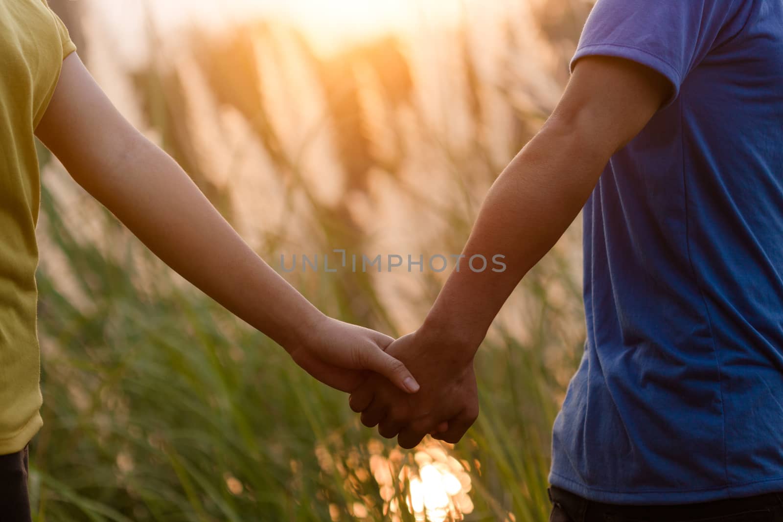 Young couple in love holding hand and walking at park during sunset
