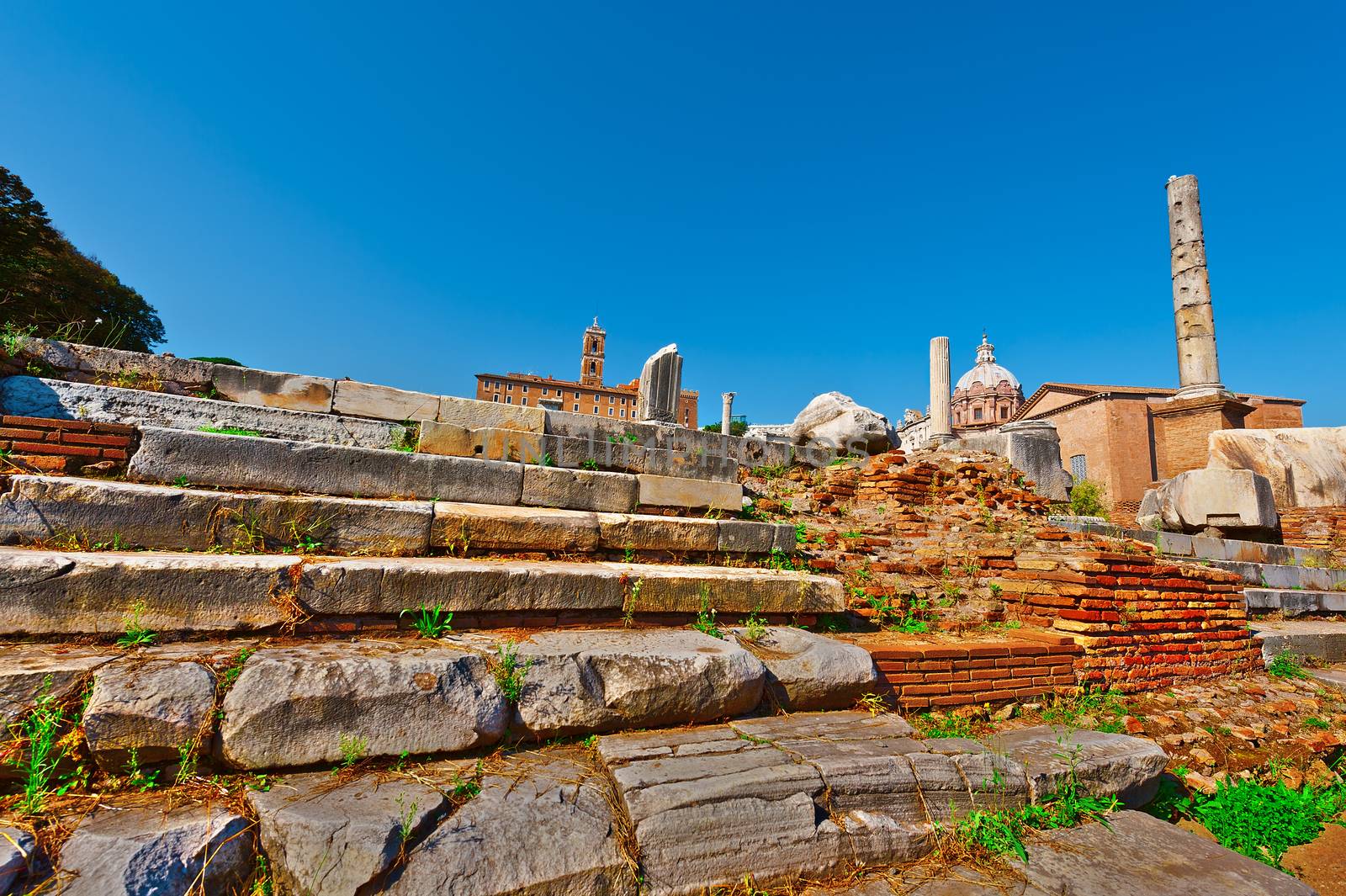 View of the Antique Ruins of Rome