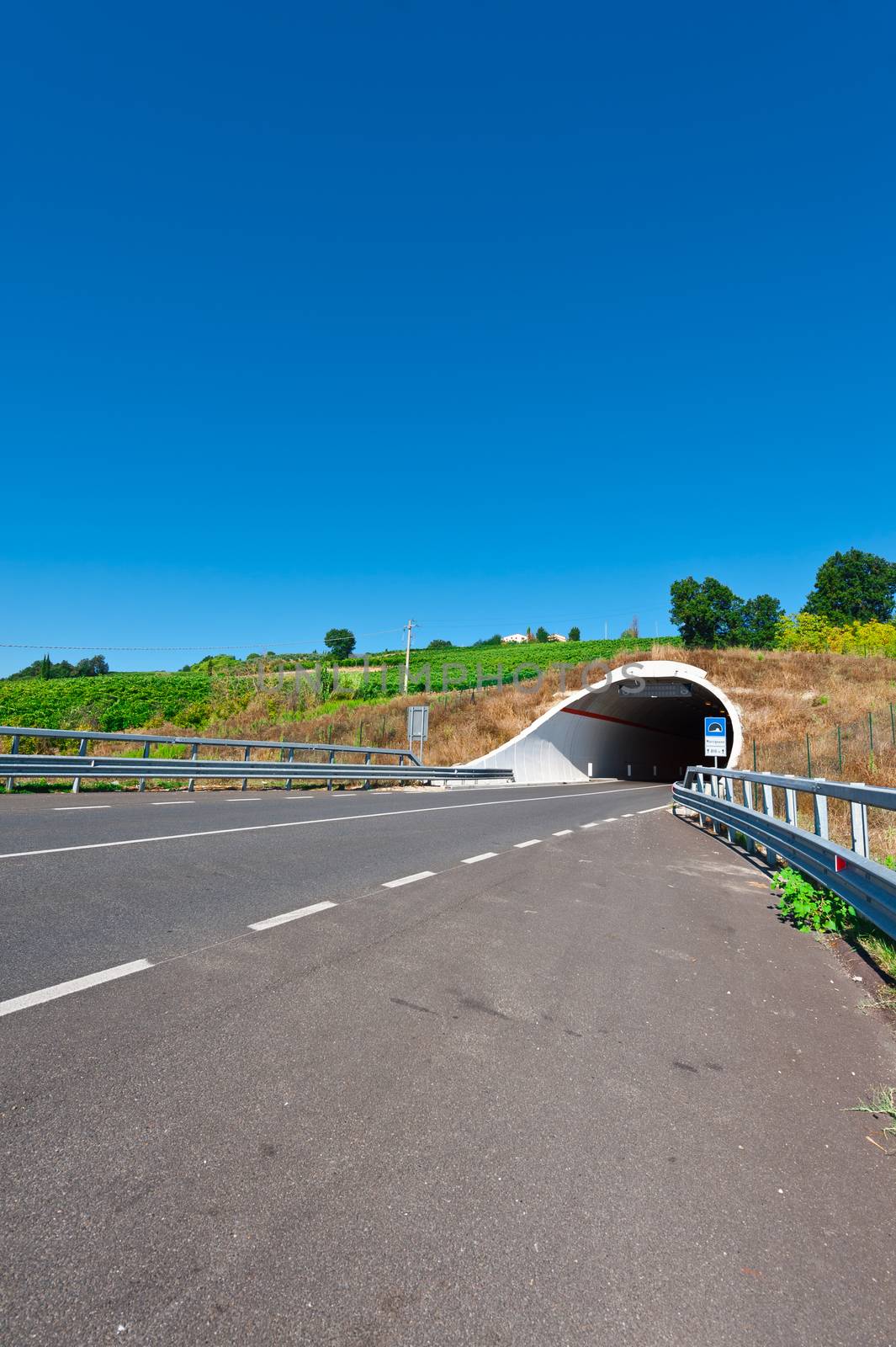 Tunnel under the Vineyard on the Asphalt Road  in Tuscany, Italy