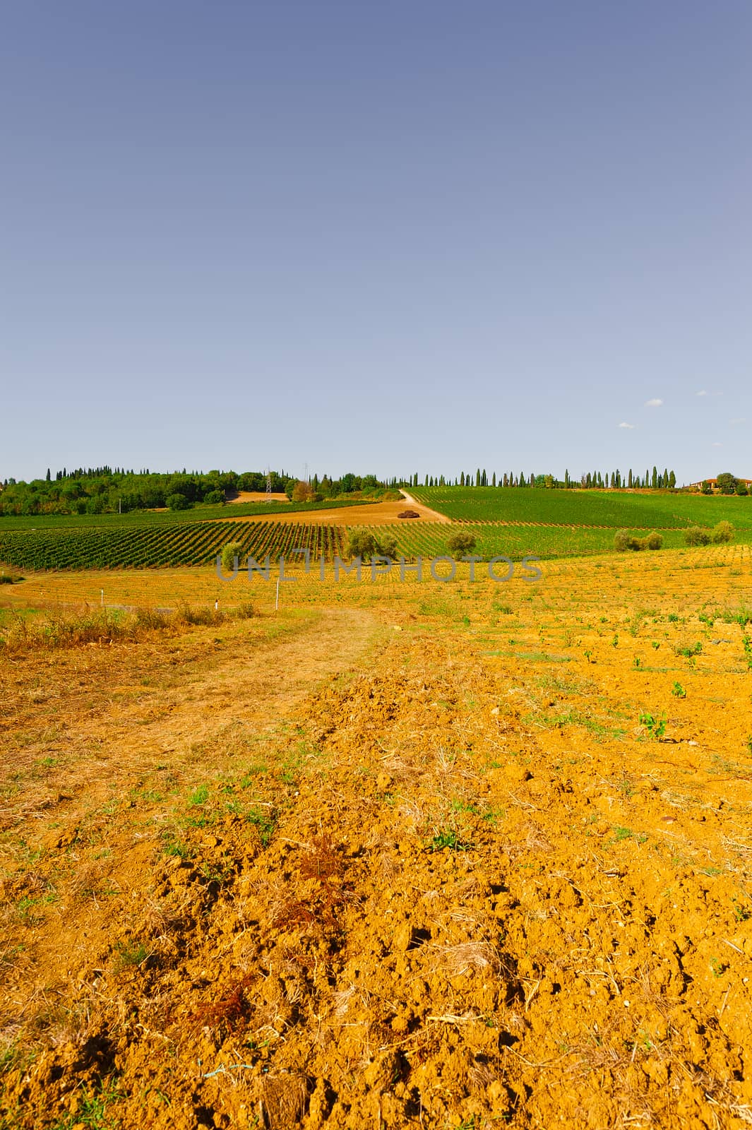 Plowed Fields of Italy in a Autumn on the Background of the Vineyards