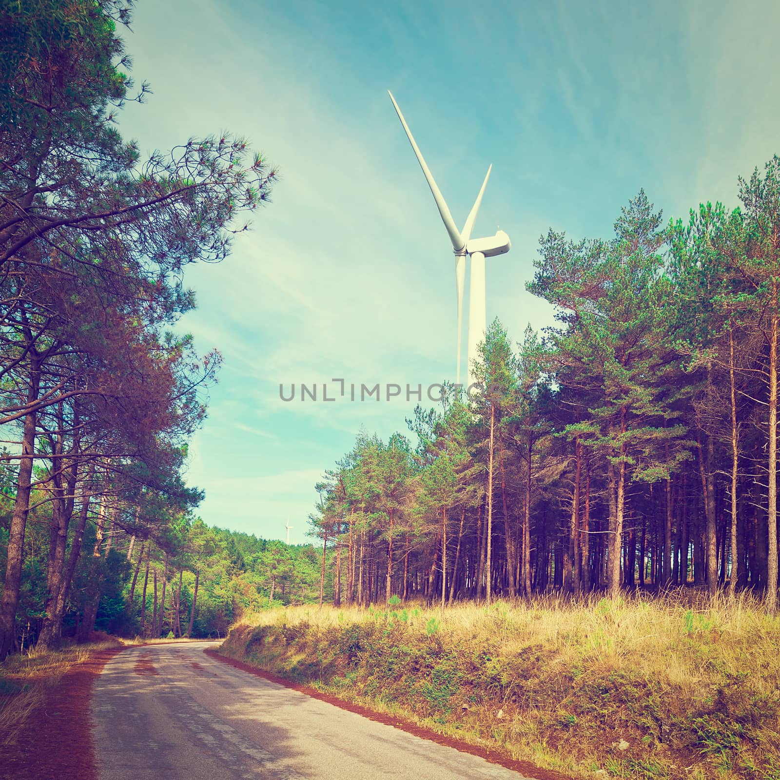 Modern Wind Turbines near Forest Asphalt Road in Portugal, Instagram Effect  