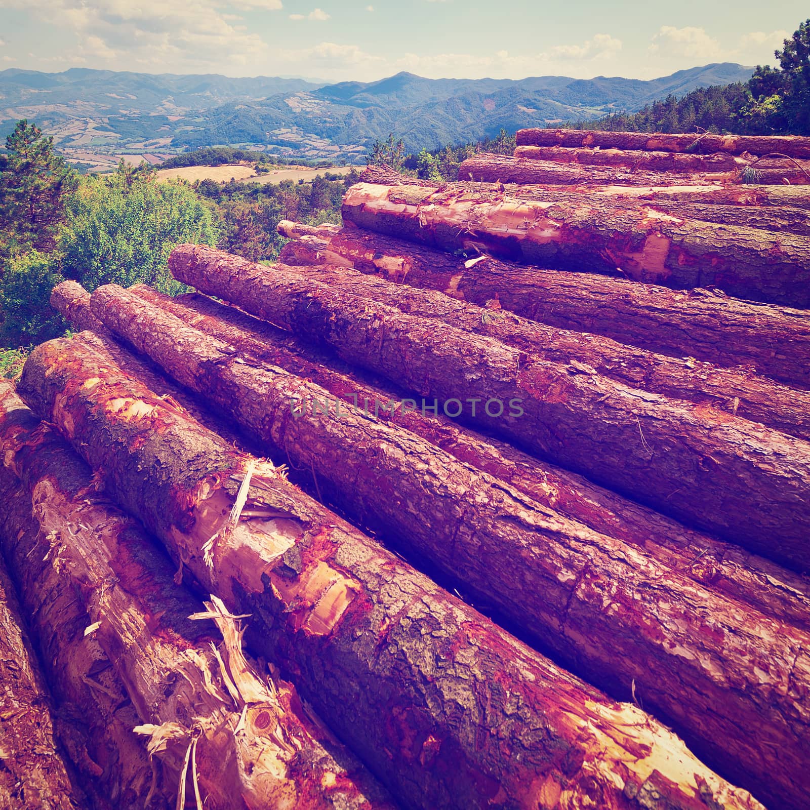 Sawed Firewood Dropped in a Pile on the Background of the Italian Alps, Instagram Effect