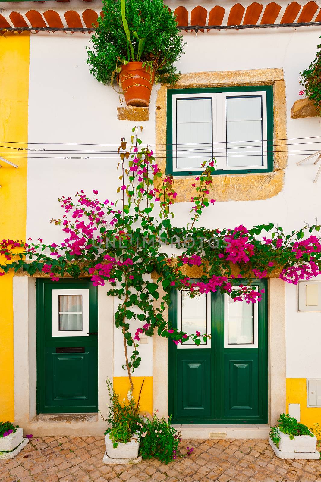  Facade of Portuguese House with Door and Windows Decorated with Fresh Flowers