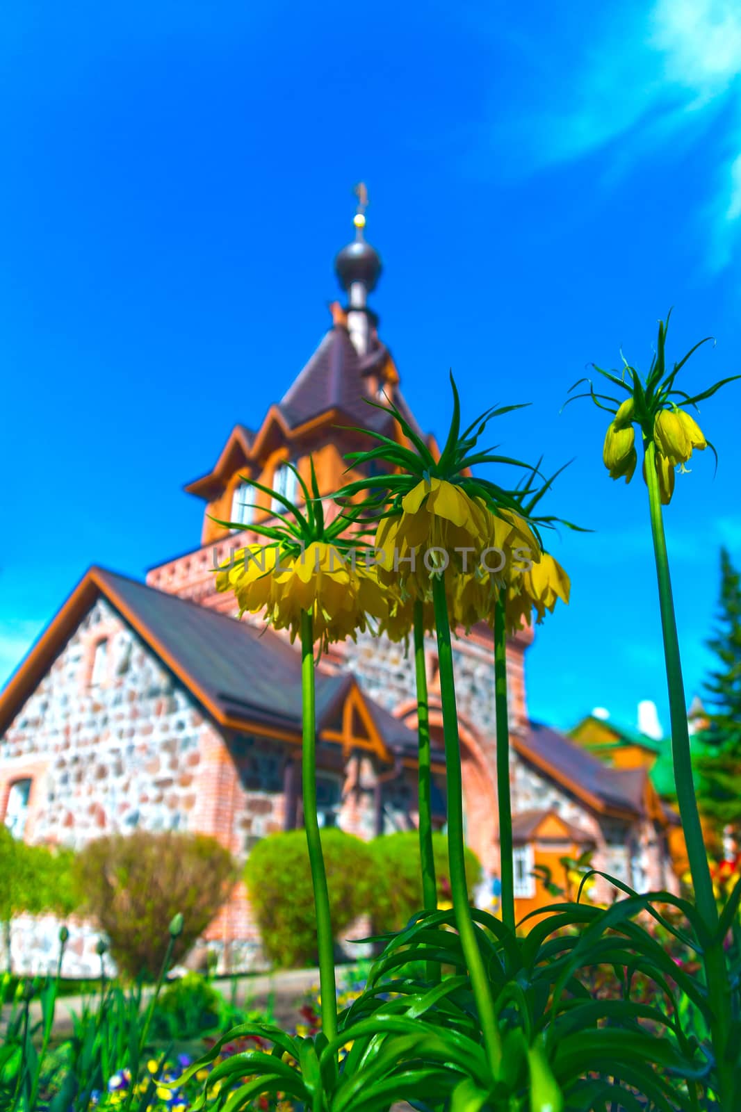 Spring blooming tulips against the background of the brick Orthodox Church