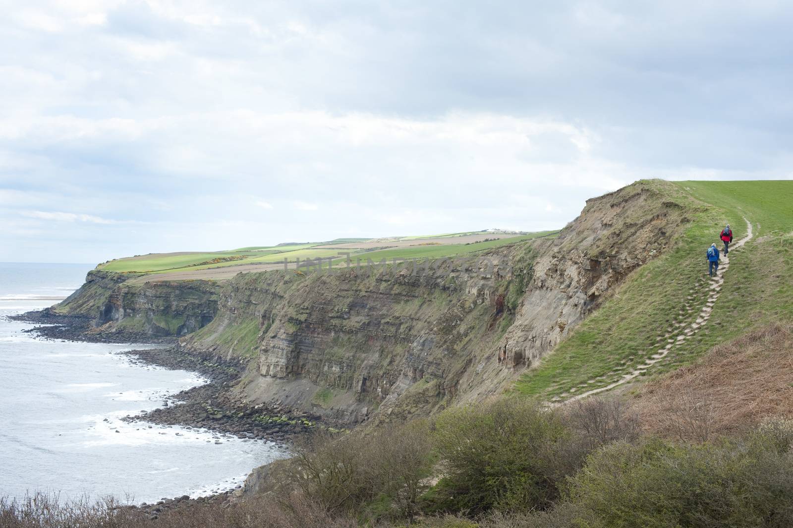Footpath along the top of coastal cliffs overlooking a calm ocean on an overcast day in a scenic landscape view