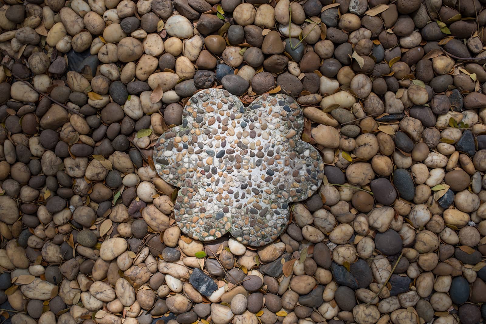 Sea stones with centre of flower stone on background by MCVSN