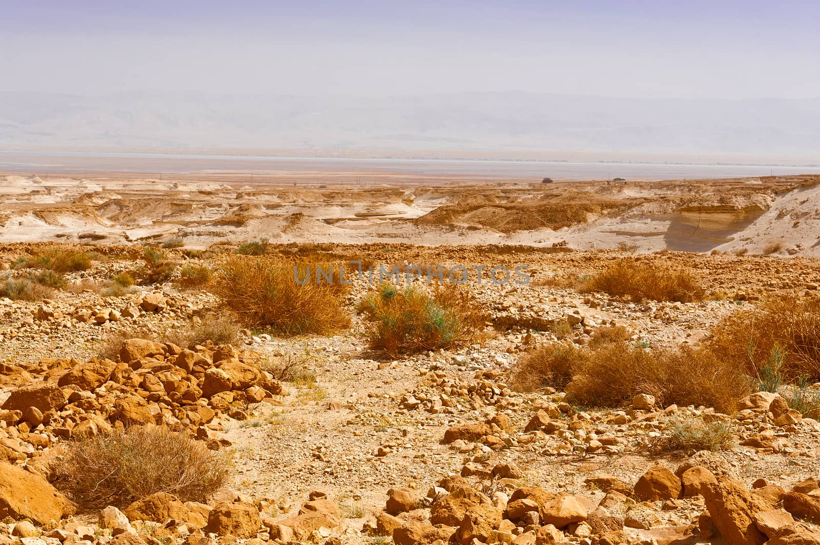 Judean Desert  by gkuna