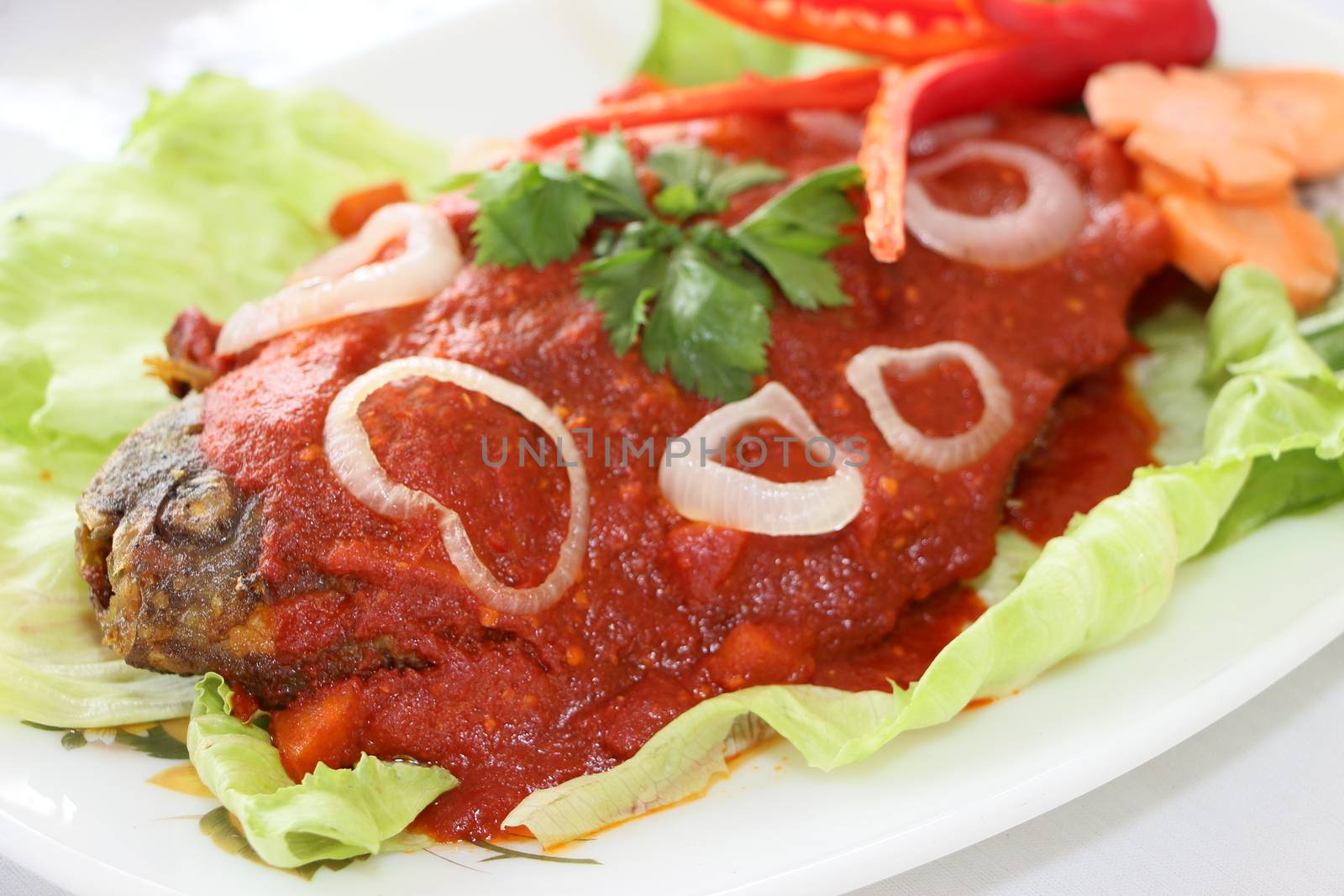 Chili Fish on Plate with Salad