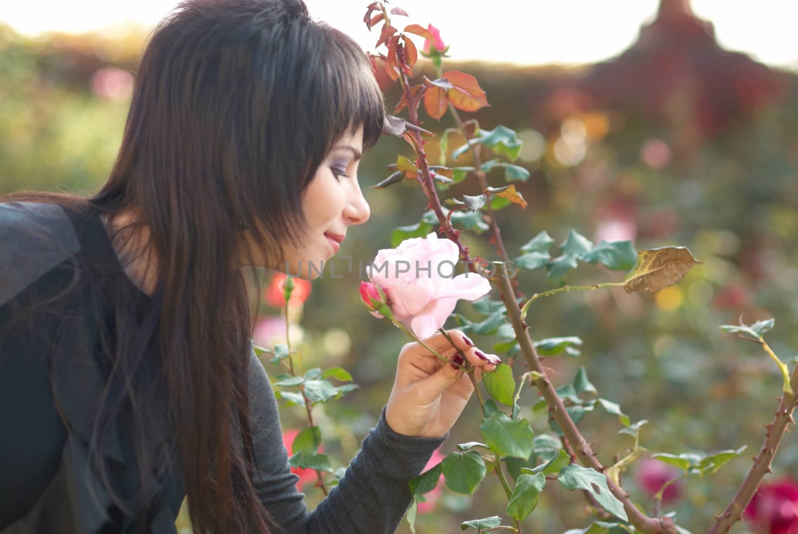 Beautiful girl with rose by vapi