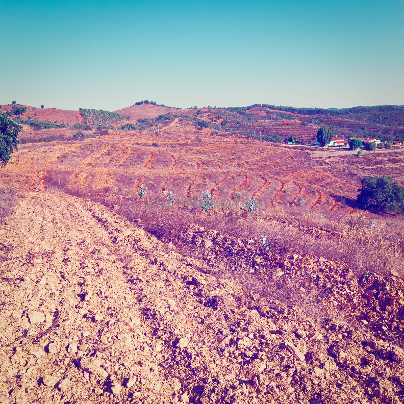 Preparation Plowed Terraces for Planting Vines in Portugal, Instagram Effect