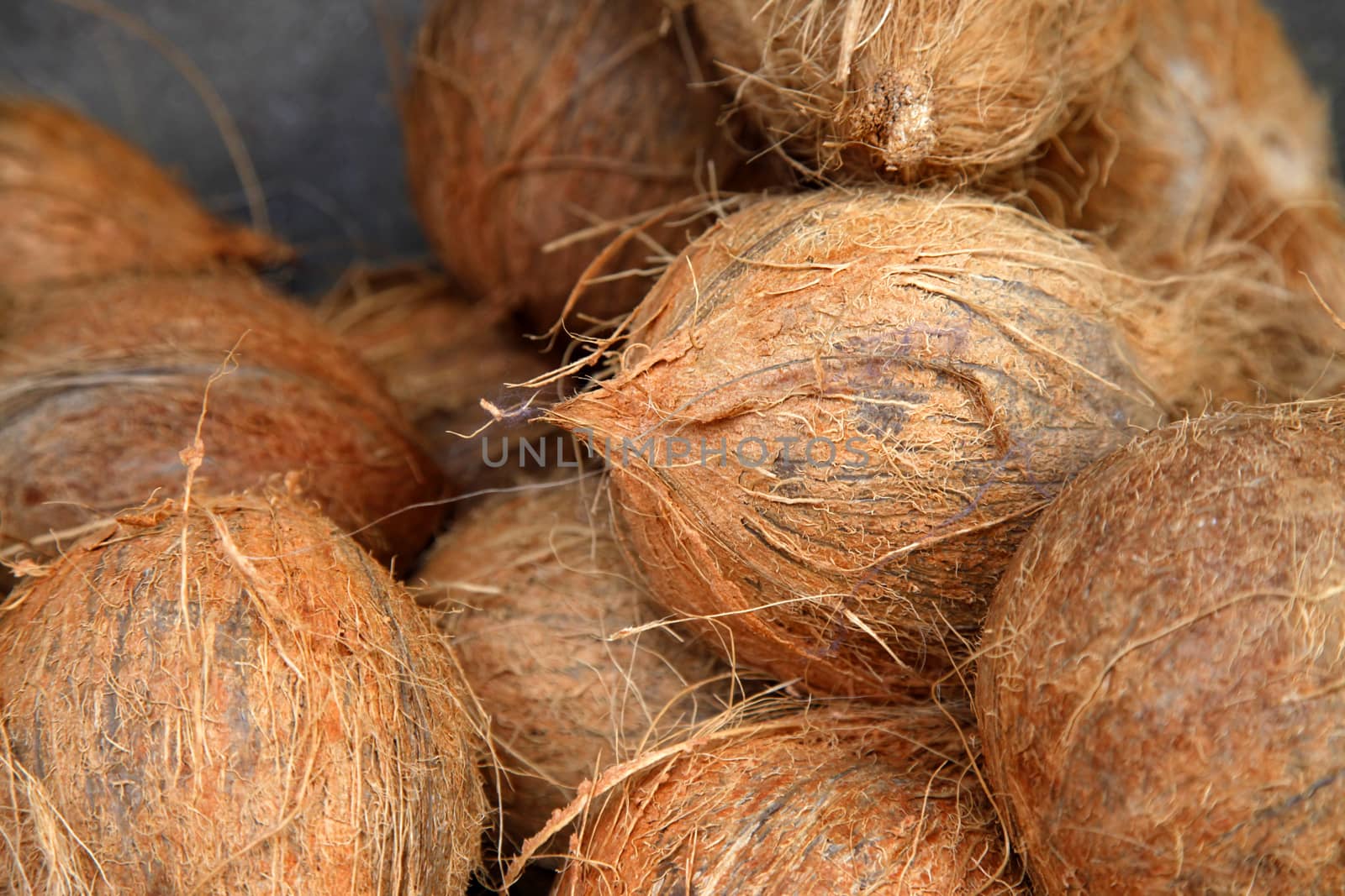 bunch of fresh coconuts