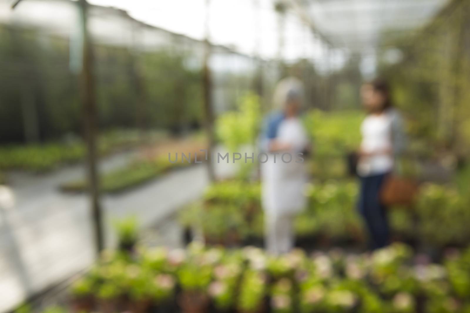 Bluriing view of a greenhouse and a florist and the customer