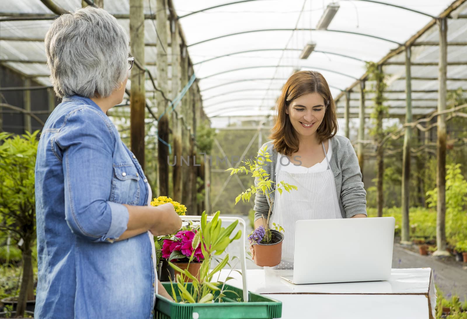 Worker and customer in a flower shop by Iko