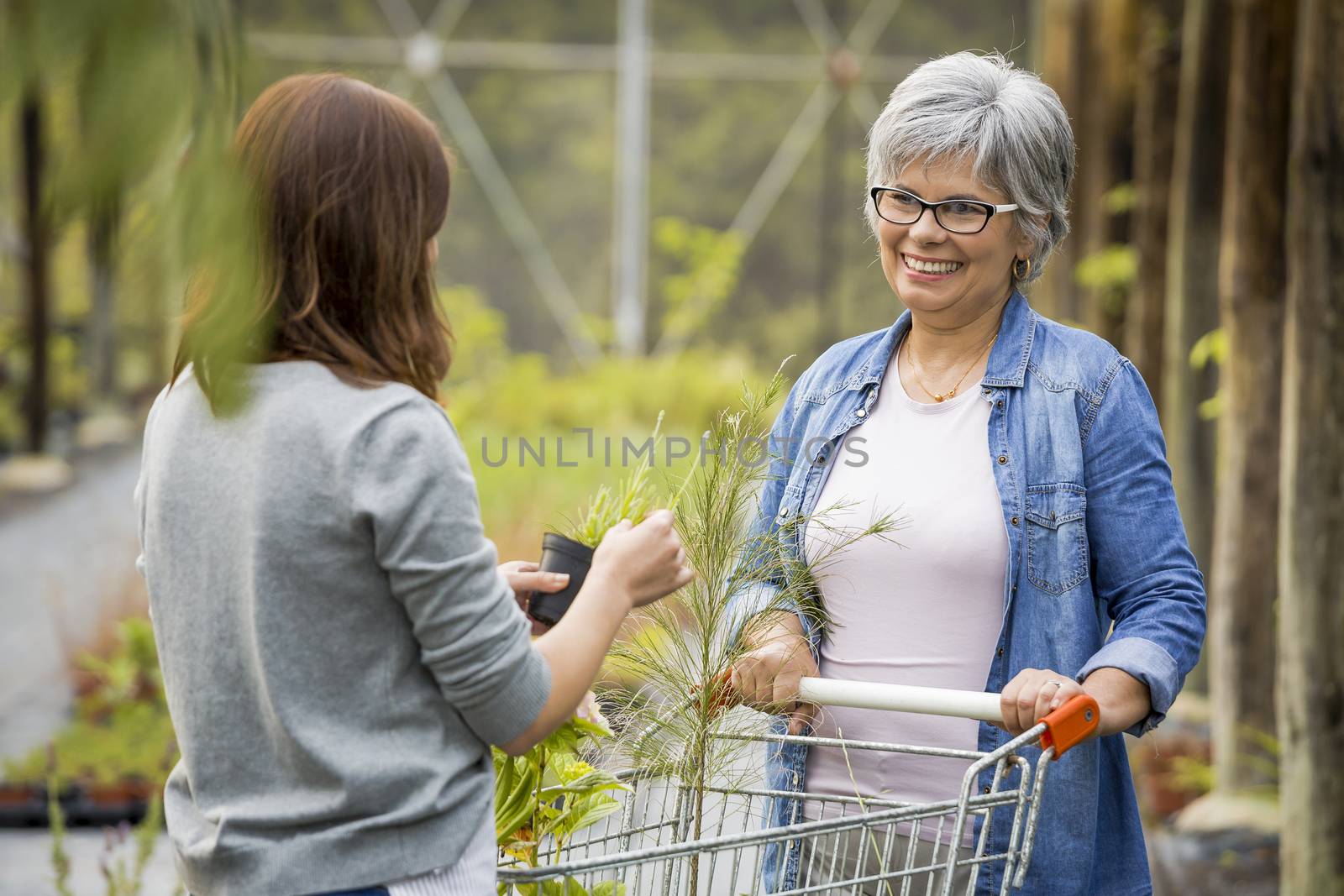 Worker and customer in a green house by Iko