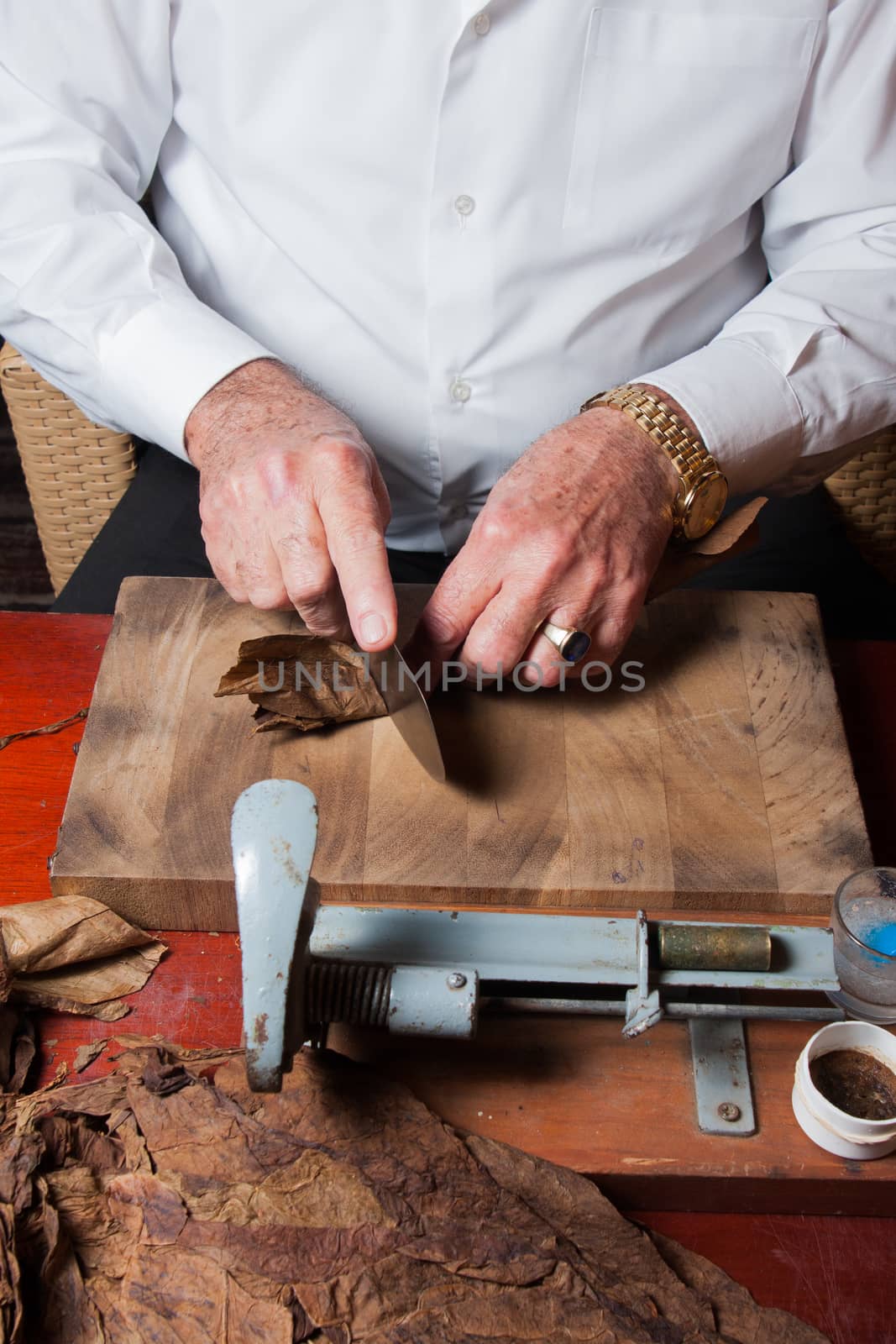 Old man Torcedor rolling hand made cigars parejos