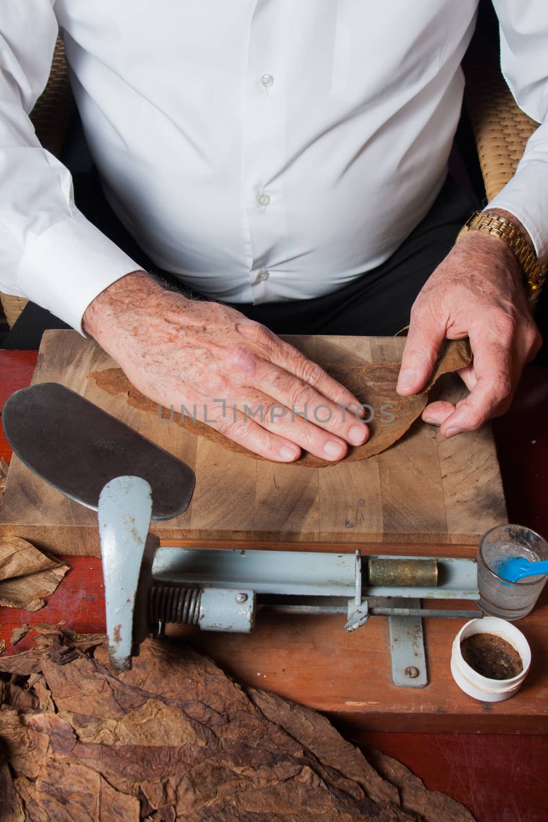 Old man Torcedor rolling hand made cigars parejos