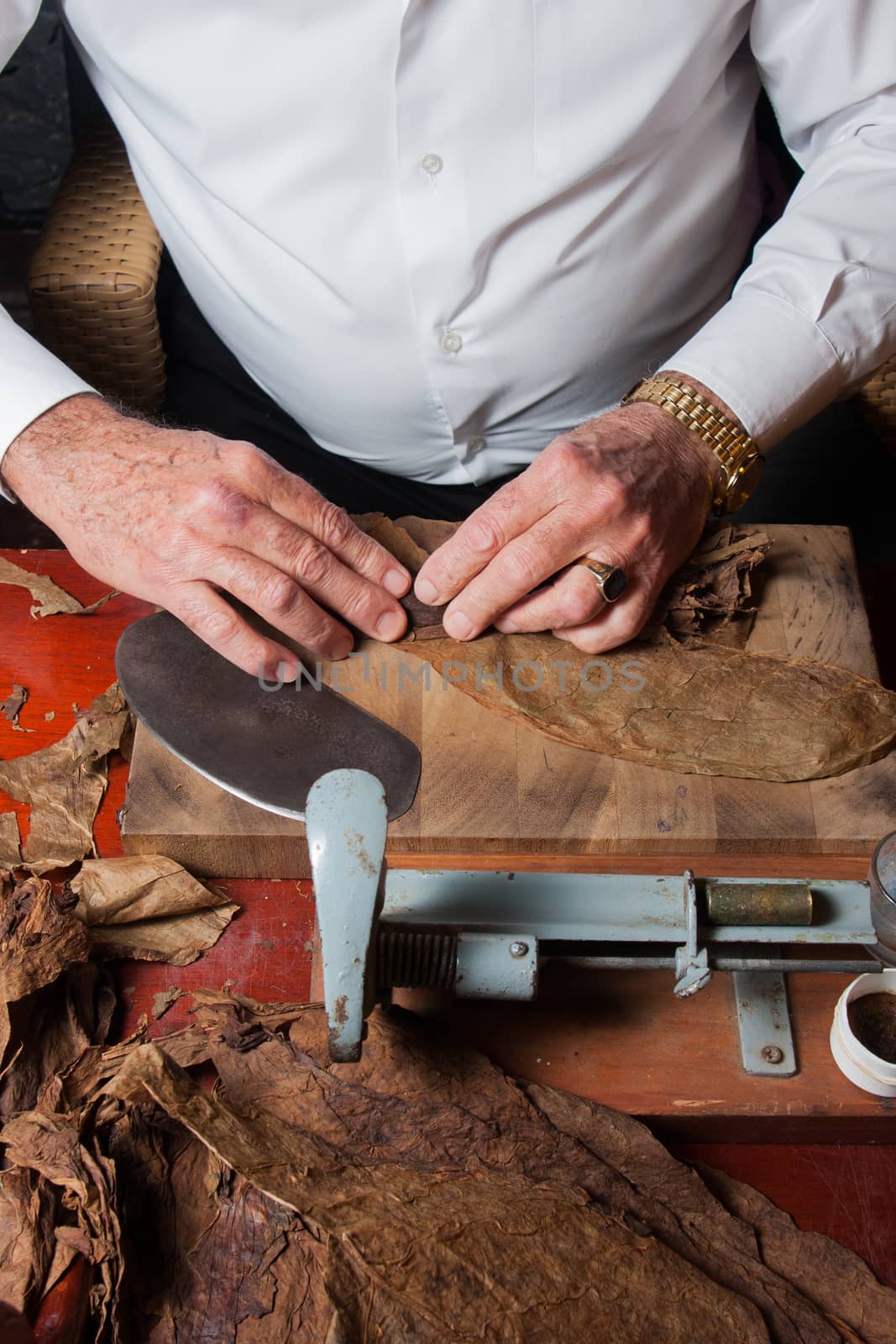 Torcedor rolling hand made cigars parejos