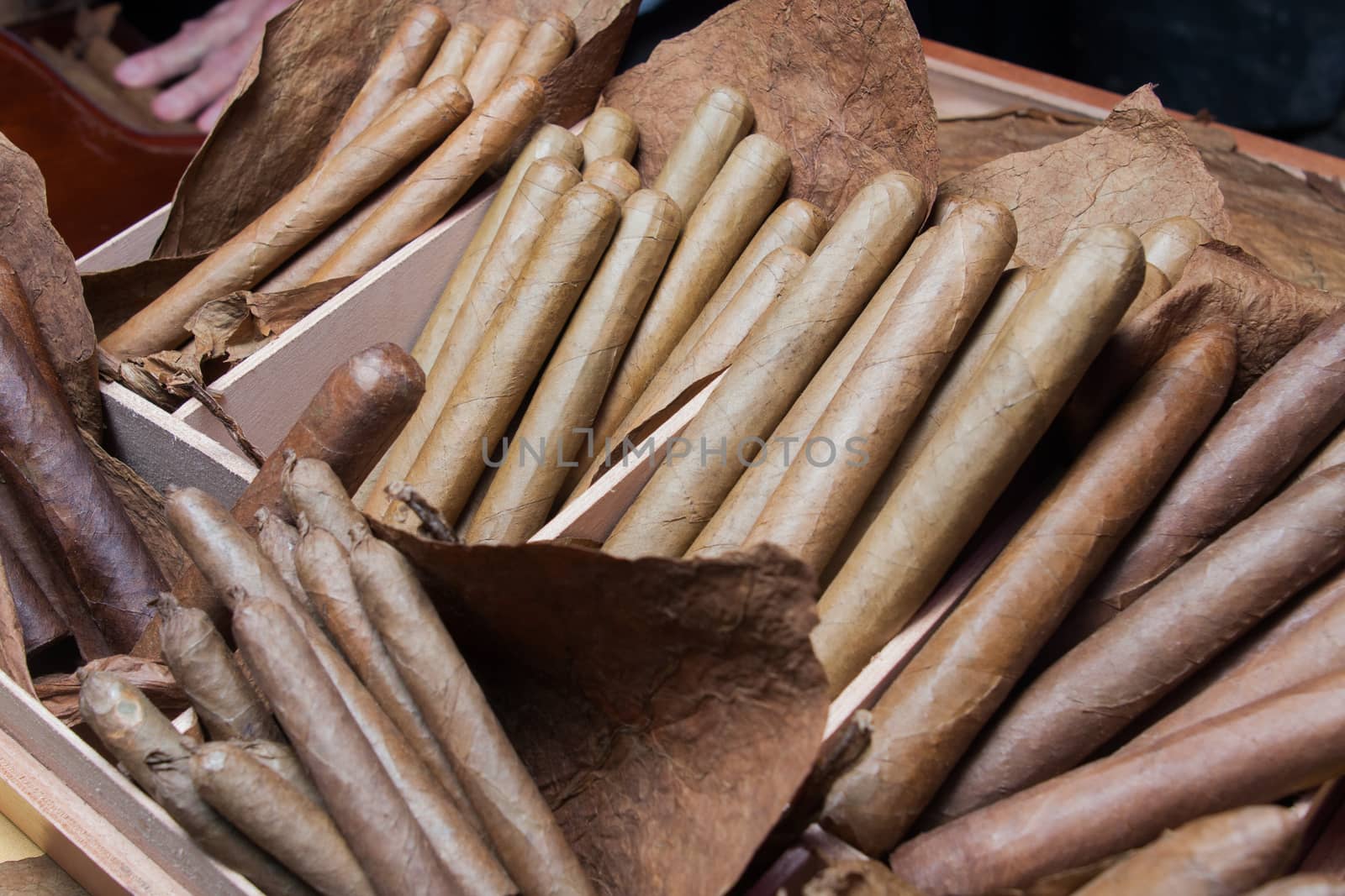 hand made cigars parejos