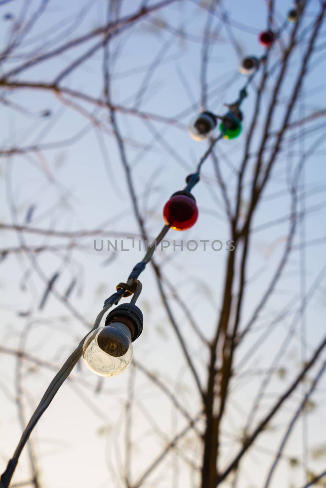 decoration outdoor light bulb on sky and tree background