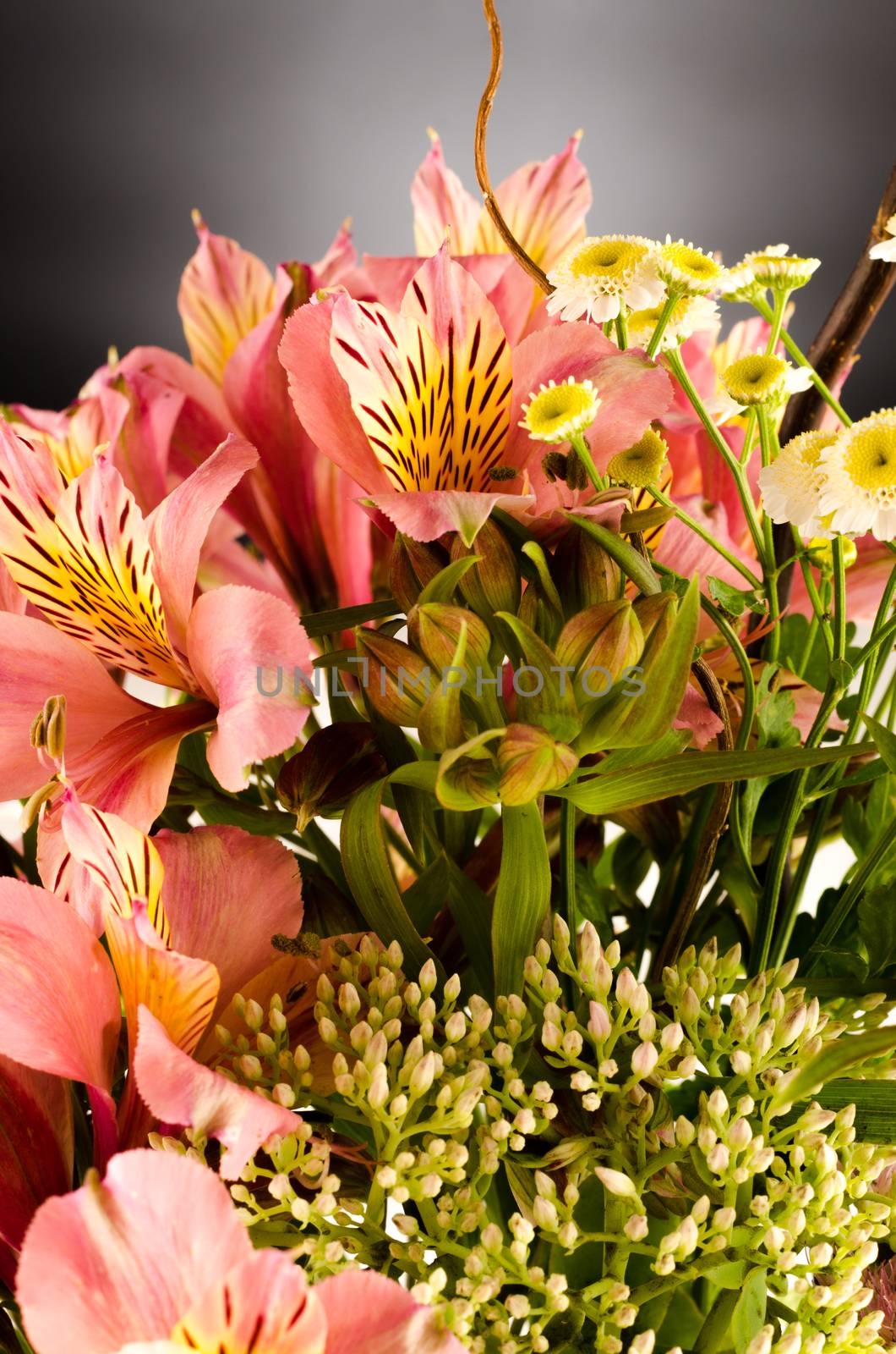 Bouquet of a beautiful alstroemeria flowers by AnaMarques