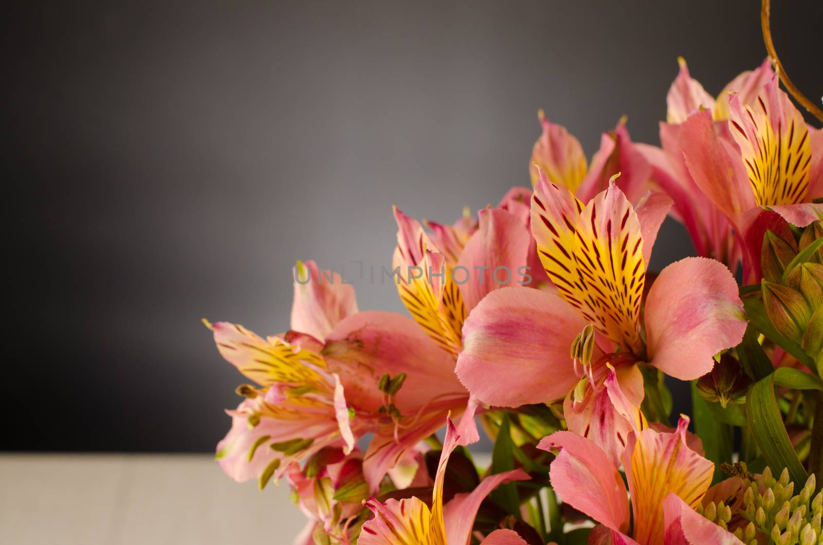 Bouquet of a beautiful alstroemeria flowers on wood by AnaMarques