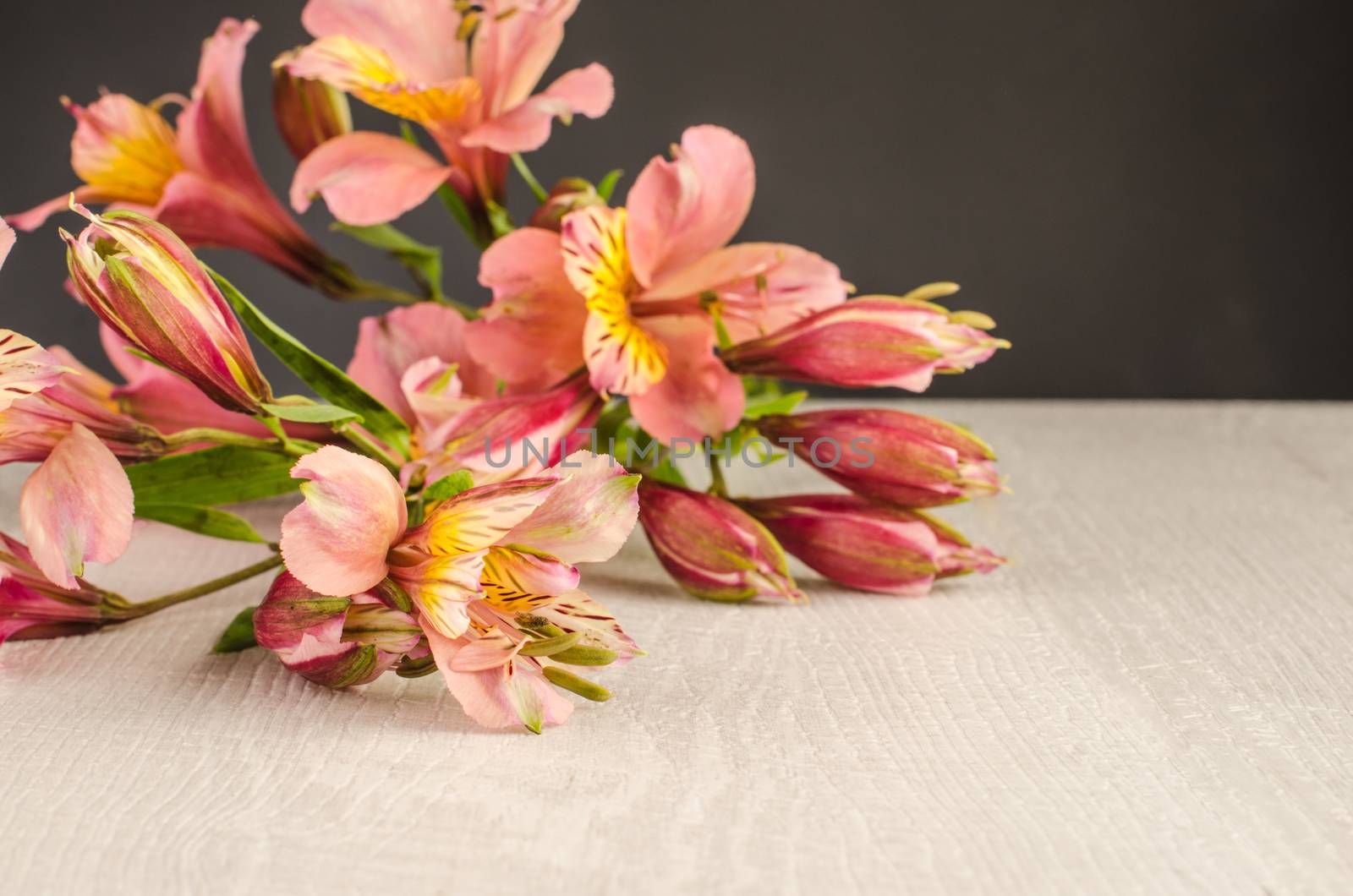 Bouquet of a beautiful alstroemeria flowers on wood by AnaMarques