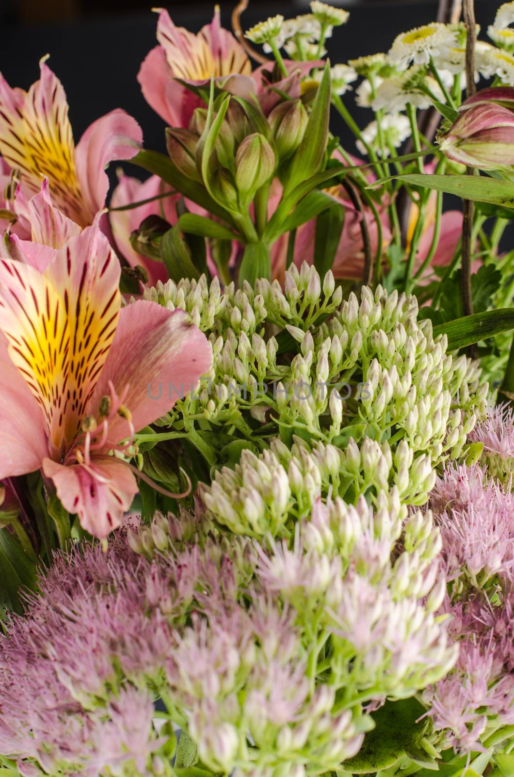 Bouquet of a beautiful alstroemeria flowers by AnaMarques