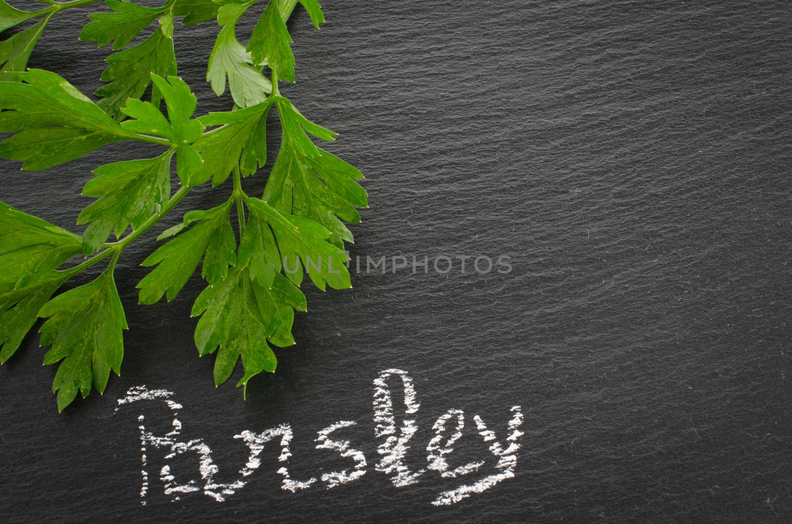 Fresh parsley sprigs on chalkboard. Twig of parsley