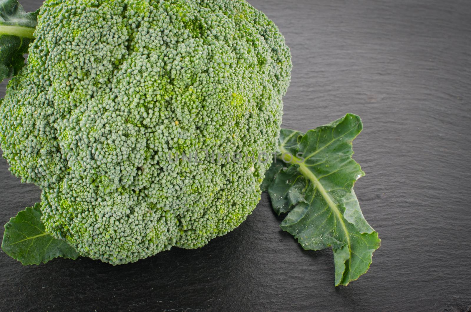 Raw broccoli on black chalkboard. Background with free text space.