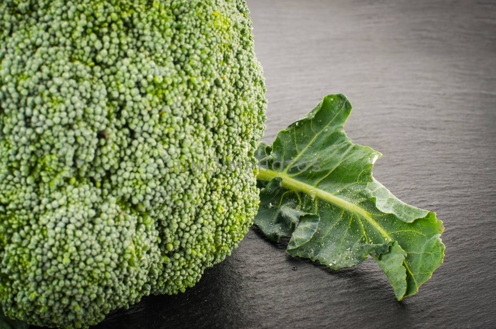 Raw broccoli on black chalkboard. Background with free text space.