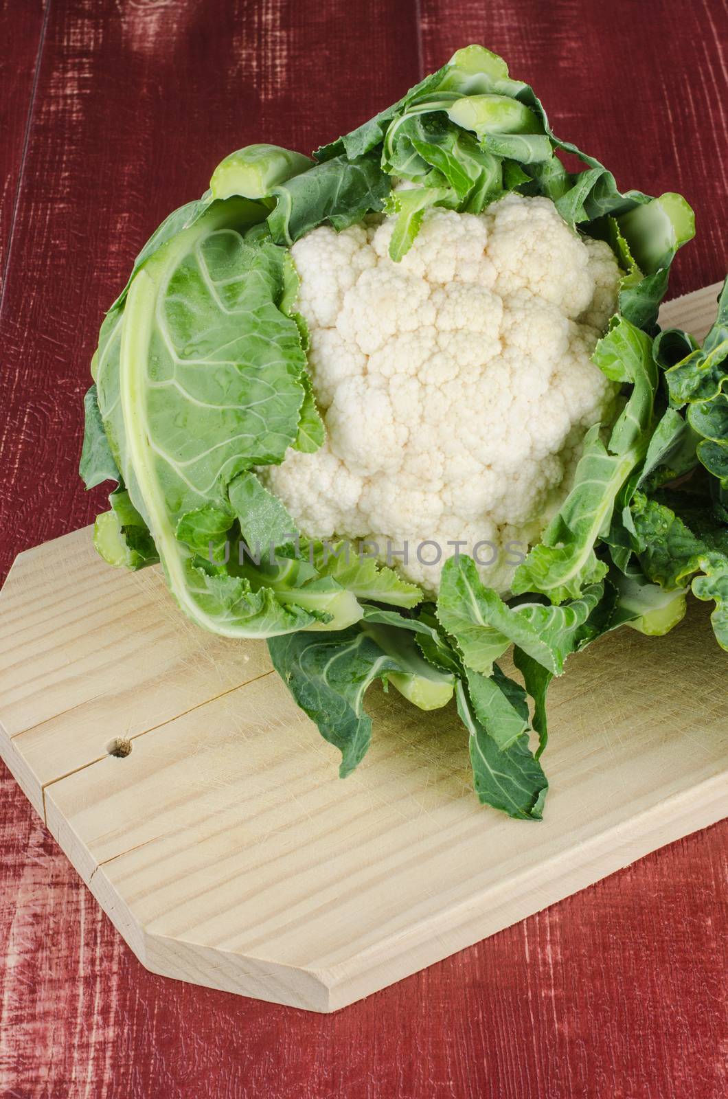 Fresh cauliflower on board cooking and red background