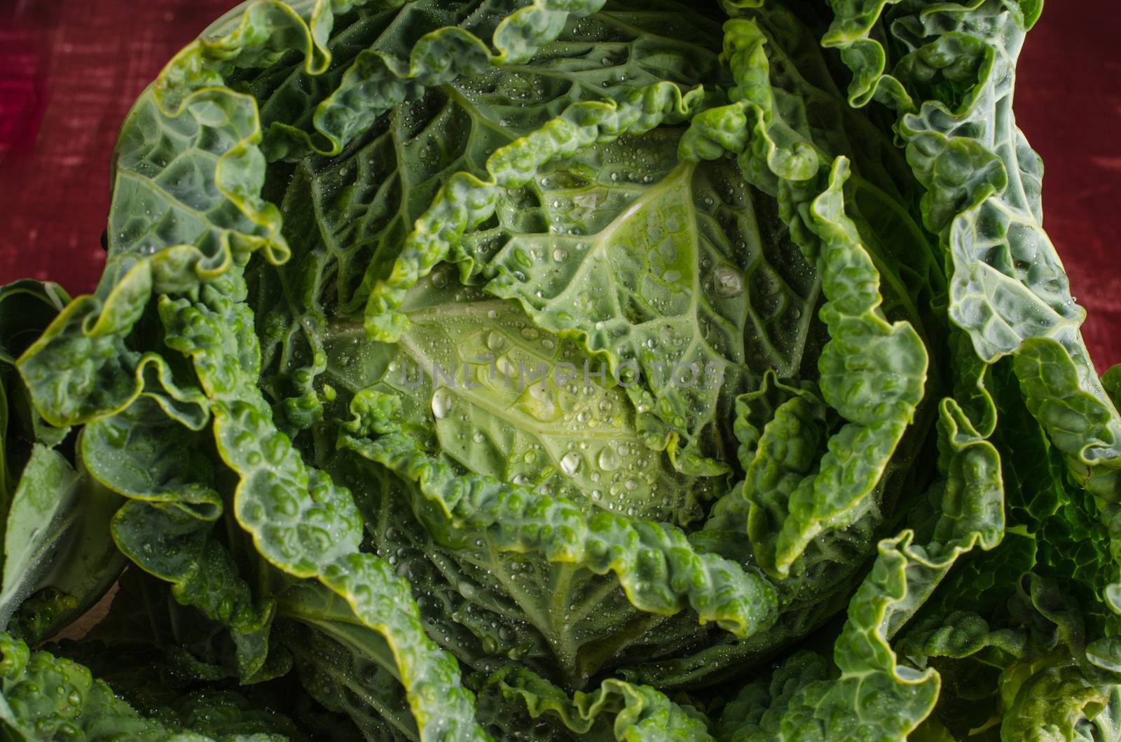 Fresh savoy cabbage closeup on rustic wooden background