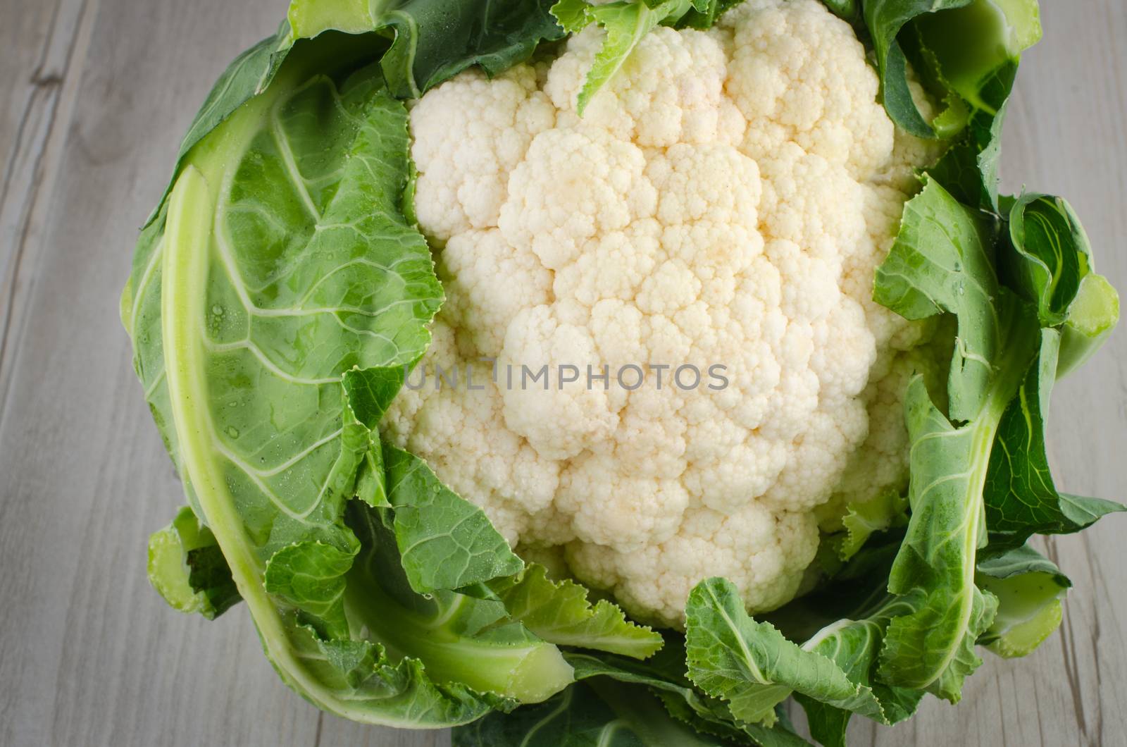 Cauliflower by AnaMarques