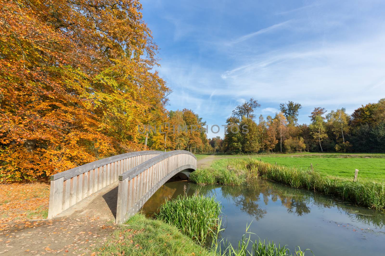 Autumn forest landscape with wooden bridge over water by BenSchonewille
