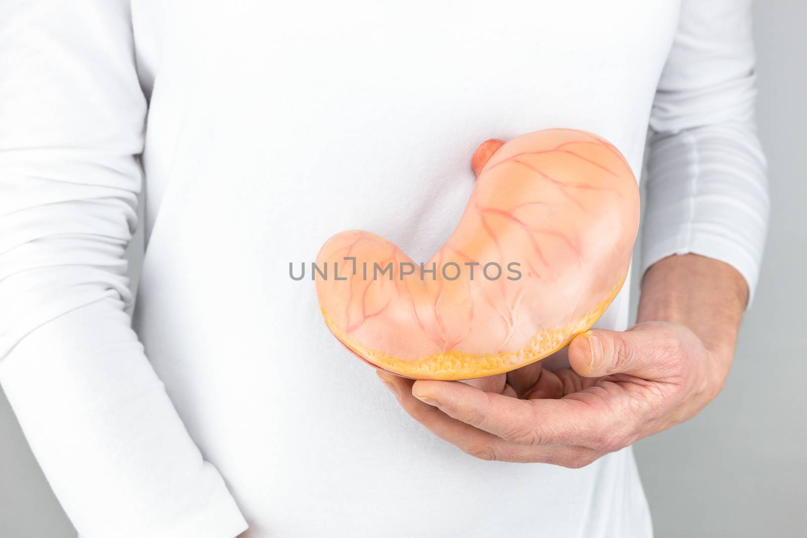Female hand holding artificial model of human stomach by BenSchonewille
